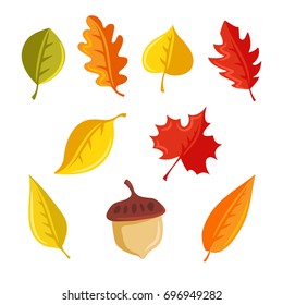 Autumn leaves and acorn