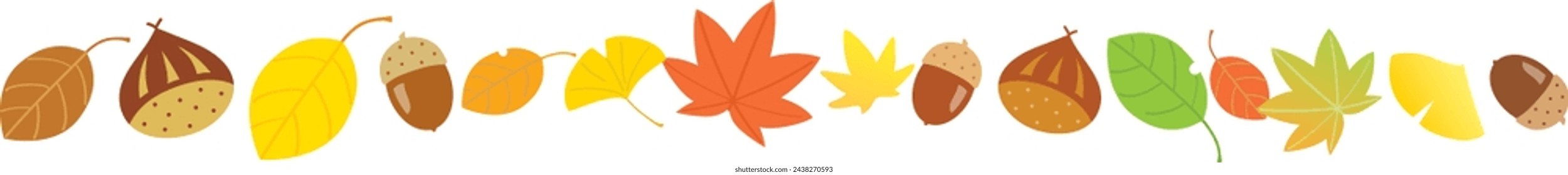 Autumn leaves, acorns and chestnuts on a white background. Vector illustration