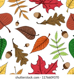Autumn leaves with acorns seamless pattern. Vector illustration of autumn leaves seamless pattern. Hand drawn autumn leaves.