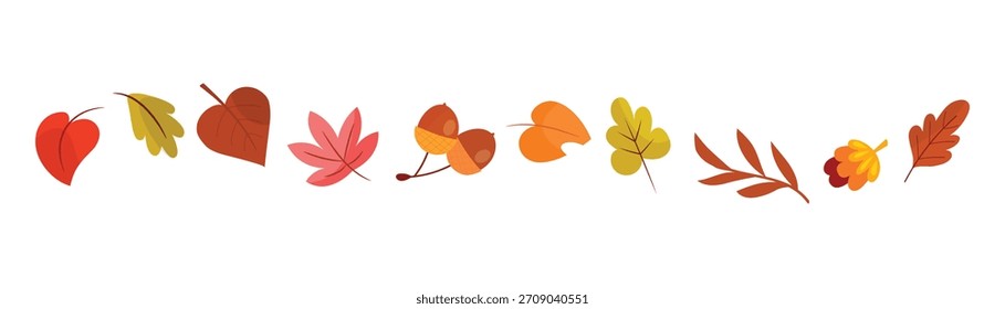 Hojas de otoño y bellotas separador frontera para la temporada de otoño y Acción de Gracias. Vector aislado sobre fondo blanco.	