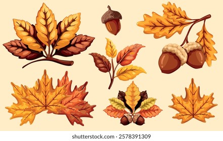 Autumn leaves and acorns vector set in warm fall colors. Perfect for seasonal decorations, invitations, posters, and digital designs. High-quality isolated elements on a light background.