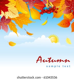 autumn leaves against a background of blue sky