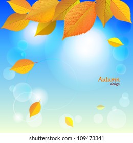 Autumn leaves against the blue sky