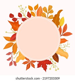 Autumn leaves leaves around the circle best for autumn frame background