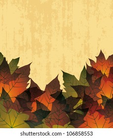 autumn leaves in the background
