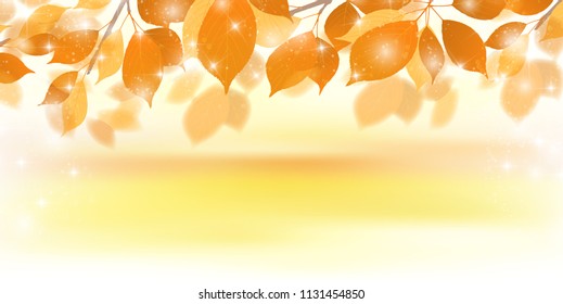 Autumn leaves autumn background