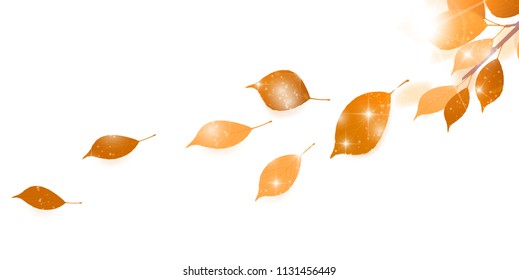 Autumn leaves autumn background