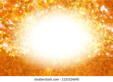 Autumn leaves autumn background
