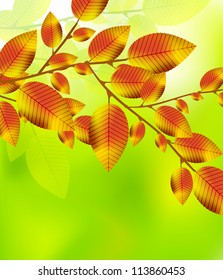 Fondo de hojas de otoño