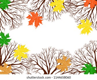 Autumn leaves background