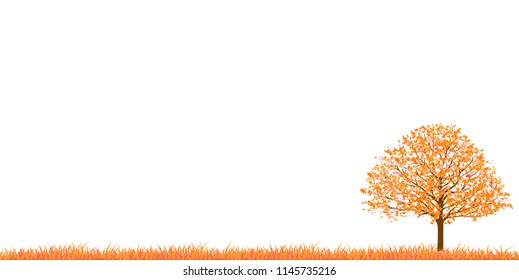 Autumn leaves autumn background