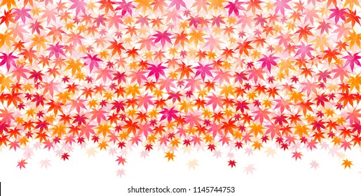 Autumn leaves autumn background