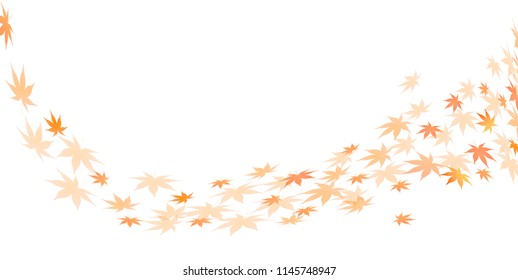 Autumn leaves autumn leaves background