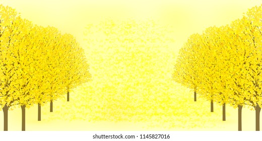 Autumn leaves autumn background