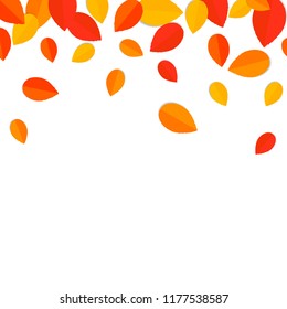 Autumn leaves background