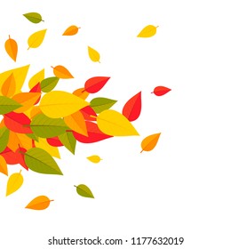 Autumn leaves background