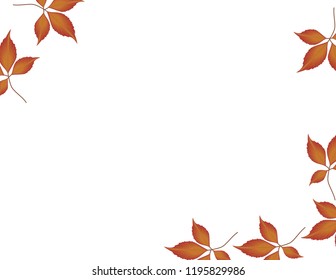 Autumn leaves background