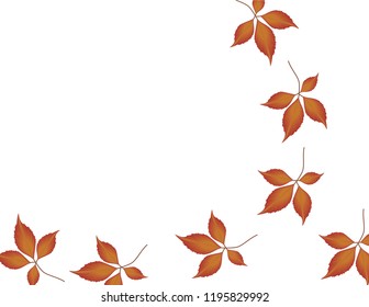 Autumn leaves background