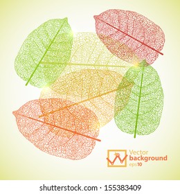 Autumn leaves background
