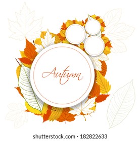 Autumn Leaves background