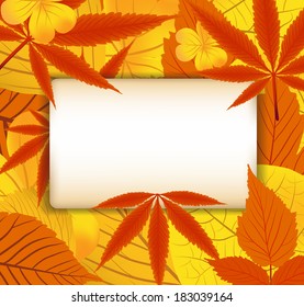 Autumn Leaves background