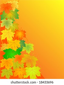 autumn leaves background