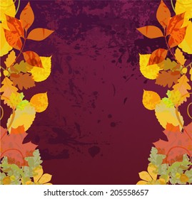 Autumn leaves background 