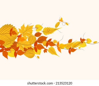 autumn leaves background