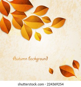 Autumn leaves background