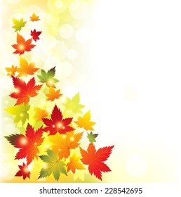 Autumn leaves background