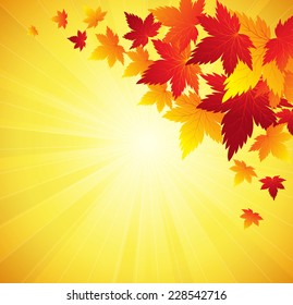 Autumn leaves background