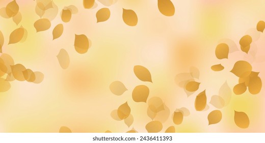 Autumn Leaves Leaves Autumn Background