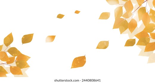 Autumn Leaves Leaves Autumn Background