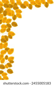 Autumn Leaves Leaves Autumn Background