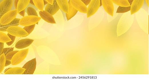 Autumn Leaves Leaves Autumn Background