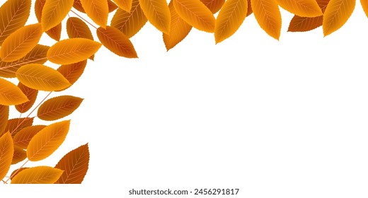 Hojas de Otoño Hojas de Otoño