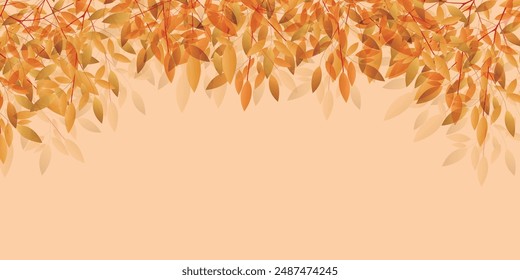 Autumn Leaves Leaves Autumn Background