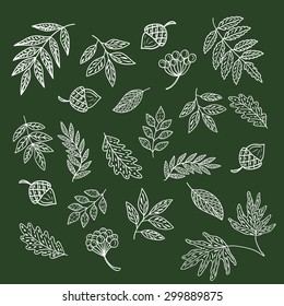 Autumn leaves background