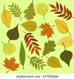 Autumn leaves background