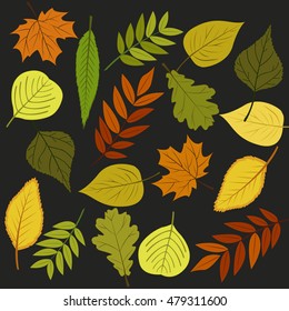 Autumn leaves background