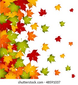Autumn leaves, background