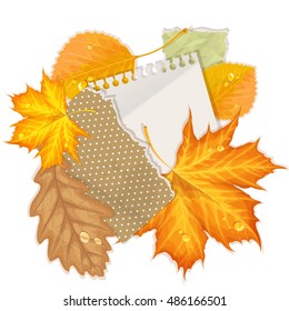 Autumn leaves background.