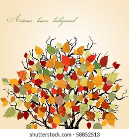 Autumn leaves background