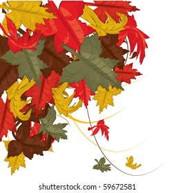 Autumn leaves, background
