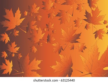 autumn leaves background