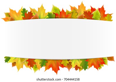 autumn leaves background