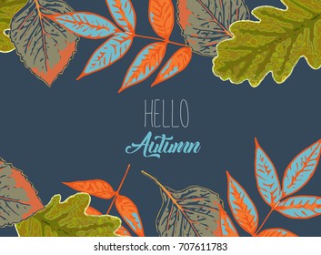 Autumn leaves background.