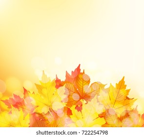 Autumn leaves background