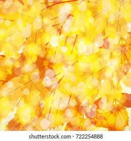 Autumn leaves background