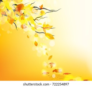 Autumn leaves background